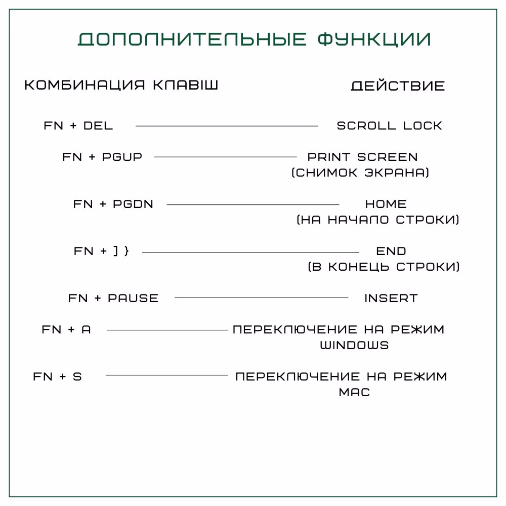 RK-H81UARUENG-CHP-SCS-SN